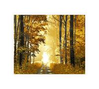 Stampa su Tela su Carta Poster o Quadro Scott Derek Sunlit Path