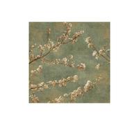 Stampa su Tela su Carta Poster o Quadro Seba John Morning Blossom II