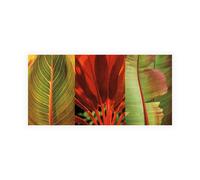 Stampa su Tela su Carta Poster o Quadro Seba John Tropical Treasure I