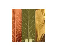 Stampa su Tela su Carta Poster o Quadro Seba John Tropical Trio I