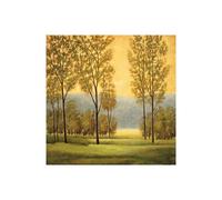 Stampa su Tela su Carta Poster o Quadro Thomas Neil Misty Morning I