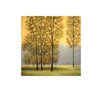 Stampa su Tela su Carta Poster o Quadro Thomas Neil Misty Morning II