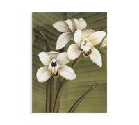 Stampa su Tela su Carta Poster o Quadro Trivelli Andrea Orchid with Palm I