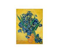 Stampa su Tela su Carta Poster o Quadro Vincent van Gogh Irises