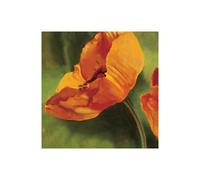 Stampa su Tela su Carta Poster o Quadro Viollet Pierre Coquelicots dans le solei