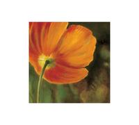 Stampa su Tela su Carta Poster o Quadro Viollet Pierre Coquelicots dans le solei