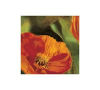 Stampa su Tela su Carta Poster o Quadro Viollet Pierre Coquelicots dans le solei