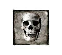 Stampa su Tela su Carta Poster o Quadro Wagner Martin Skull I