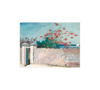 Stampa su Tela su Carta Poster o Quadro Winslow Homer A Wall, Nassau