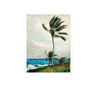 Stampa su Tela su Carta Poster o Quadro Winslow Homer Palm Tree, Nassau