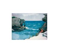 Stampa su Tela su Carta Poster o Quadro Winslow Homer Rocky Shore, Bermuda
