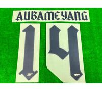 STAMPA UFFICIALE ARSENAL FC Away 2021-22 CUP PLAYER SIZE