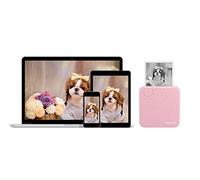 Stampante Termica per Etichette, Stampante Termica per Ricevute Fotografiche da 203 DPI, Mini Stampante per Etichette Portatile Piccola da 58 Mm, Stampante Termica Portatile a Strappo Manuale (Rosa)