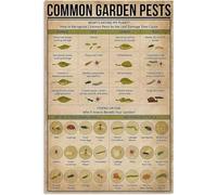 Stampe artistiche da parete vintage, cartello in metallo con informazioni sui parassiti comuni del giardino, cartello "Cosa sta mangiando la mia pianta?", decorazione da parete per la camera da letto
