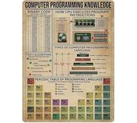 Stampe artistiche da parete vintage, cartello in metallo con scritta "Conoscenza della programmazione informatica", i 7 migliori algoritmi, decorazione da parete per la camera da letto, bar, caffette