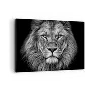Stampe da Parete 100x70 cm Quadro su Tela Africa Bianco e Nero - 4494 | Ritratto Leone E Quadro Decorativo Grande 1 pezzo Soggiorno Camera da Letto Arte da Parete Decorazione da Parete ARTTOR