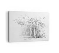 Stampe da Parete 100x70 cm Quadro su Tela Botanica Bianco e Nero - 4280 | Schizzo Foresta Betulla Quadro Decorativo 1 pezzo Soggiorno Camera da Letto Arte da Parete Decorazione da Parete ARTTOR