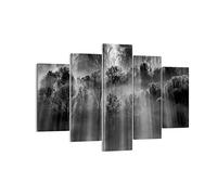 Quadro su Tela 150x100cm Alberi Dentro Nebbia Stampe Immagini Quadri Murale