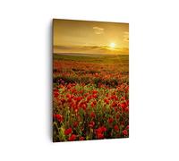 Stampe da Parete Moderne Verticali 70x100 cm Botanica Paesaggi - 3643 | Papavero Fiore Prato Quadro Decorativo Grande Soggiorno Camera da Letto Decorazione da Parete Arte da Parete ARTTOR