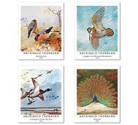 Stampe da Parete Uccello Classico Senza Cornice, Set di 4 Poster, Carta artistici di alta qualità Taglia: 20x25 cm, Vintage elegante gazza oche pavone per camera da letto Archibald Thorburn Painting