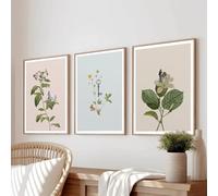 Stampe d'arte,Set di 3-Poster e Stampe Vintage Botaniche Con Chiave del Ciclismo da Parete su Tela Camera da Letto Soggiorno Cucina Ufficio Arredamento la Casa-50*60cm/20*24 pollici(senza telaio)