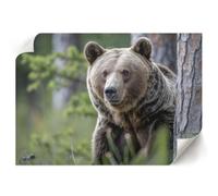Stampe su Tela 42x29,7 cm| Formato A3 | Orso nella foresta