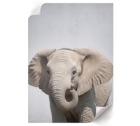 Stampe su Tela 59,4x84 cm | Formato A1 | Elefante e pace
