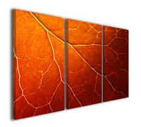 Stampe su tela canvas High macro folie quadri moderni