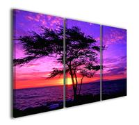 Stampe su tela canvas Kiawe tree arredamento moderno quadri moderni