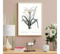 Stampe su tela, dipinti, piante, fiori selvatici, poster nordici, soggiorno, bar, corridoio, arte murale, camera da letto, decorazione d'interni per la casa, 60x80 cm, senza cornice