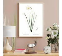 Stampe su tela, dipinti, piante, fiori selvatici, poster nordici, soggiorno, bar, corridoio, arte murale, camera da letto, decorazione d'interni per la casa, 60x80 cm, senza cornice