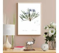 Stampe su tela, dipinti, piante, fiori selvatici, poster nordici, soggiorno, bar, corridoio, arte murale, camera da letto, decorazione d'interni per la casa, 60x80 cm, senza cornice