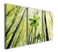 Stampe su tela fiori colorati primula Vellutata quadro moderno canvas arredo