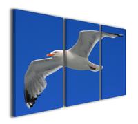 Stampe su tela Gull arredamento moderno quadri moderni canvas arte design