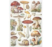 Stamperia Carta di riso per decoupage, formato A4, motivo: funghi