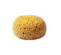 Stamperia - Sponge Paint for Crafts and Mixed Media Projects, Soft and Hazy, Ideal for Adding Texture and Gentle Transitions