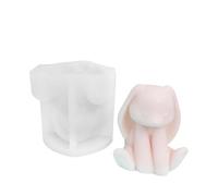 Stampi in silicone 3D a forma di coniglio antiaderente, strumento per colata artigianale | stampo in silicone a forma di coniglio 3D | per decorazione da tavolo per la casa cioccolatini e gesso