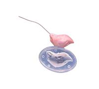 Stampi in silicone a forma di coda di peluche multi formato per modellare argilla con texture fine, perfetti per accessori cosplay rendendo piccolo stampo a coda robusta