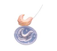 Stampi in silicone a forma di coda di peluche multi formato per modellare argilla con texture fine, perfetti per accessori cosplay rendendo piccolo stampo a coda robusta