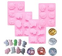 Stampi in silicone per cioccolato, For Zodiac Signs and Twelve Constellation Cake Tray Mould DIY Tool Chocolate Soap Pudding Cake(Twelve Constellation)