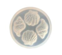 Stampi in silicone per getti di conchiglie stampi in silicone per torte al cioccolato, strumento di cottura a conchiglia, decorazione a conchiglia, resina epossidica, artigianato in silicone