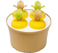 stampi per ghiaccioli, Stampo for ghiaccio rotondo in vaso, stampo for a sei griglie, for a forma di pianta, fai da te in plastica(C)