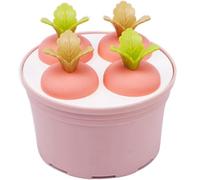 stampi per ghiaccioli, Stampo for ghiaccio rotondo in vaso, stampo for a sei griglie, for a forma di pianta, fai da te in plastica(B)