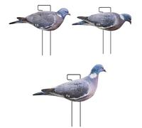 Stampo colombaccio Colombo Piccione stampi richiamo caccia colombi Kit 3 Pezzi 2 d