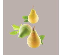 Stampo in Silicone 3D per Frutta Realistica Pera e Fico 60x55H76 mm