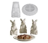 Stampo in silicone a forma di coniglio pasquale, simpatico stampo in silicone 3D, per frutta, decorazione per biscotti, per casa, ufficio, scuola, dormitorio, idea regalo
