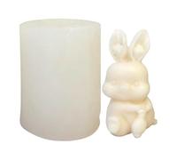 Stampo in silicone a forma di coniglio, per cioccolato, per Capodanno cinese, San , feste di famiglia