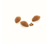 Stampo in Silicone Cacao XS 12 Silikomart