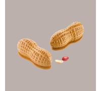 silikomart Stampo in Silicone Arachide 100 Accessori Professionali per Cucina e Pasticceria con Cutter ABS, 6 Cavità da 100 ml