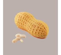 silikomart Professional Stampo in Silicone Arachide 700 ml con Cutter Incluso - Tortiera per Torte Moderne, Mousse e Semifreddi - 19,6x8,7 cm H 7,5 cm